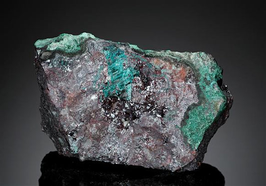 CC17600 specimen image