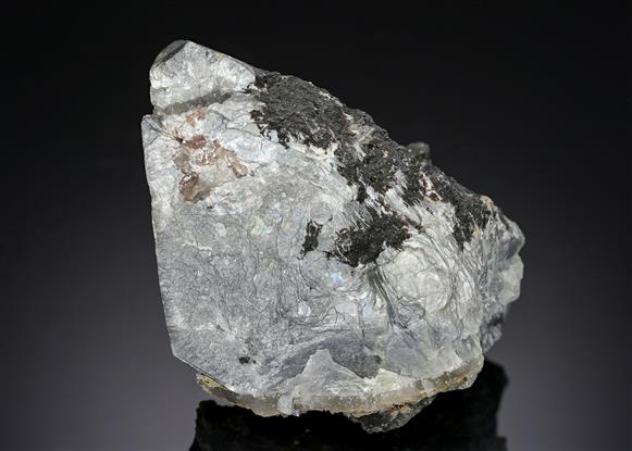 CC17642 specimen image
