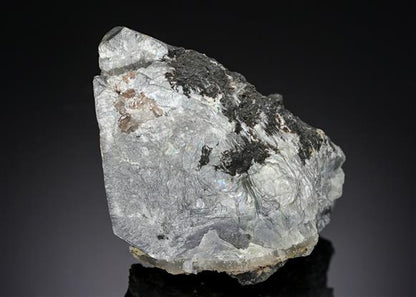 CC17642 specimen image