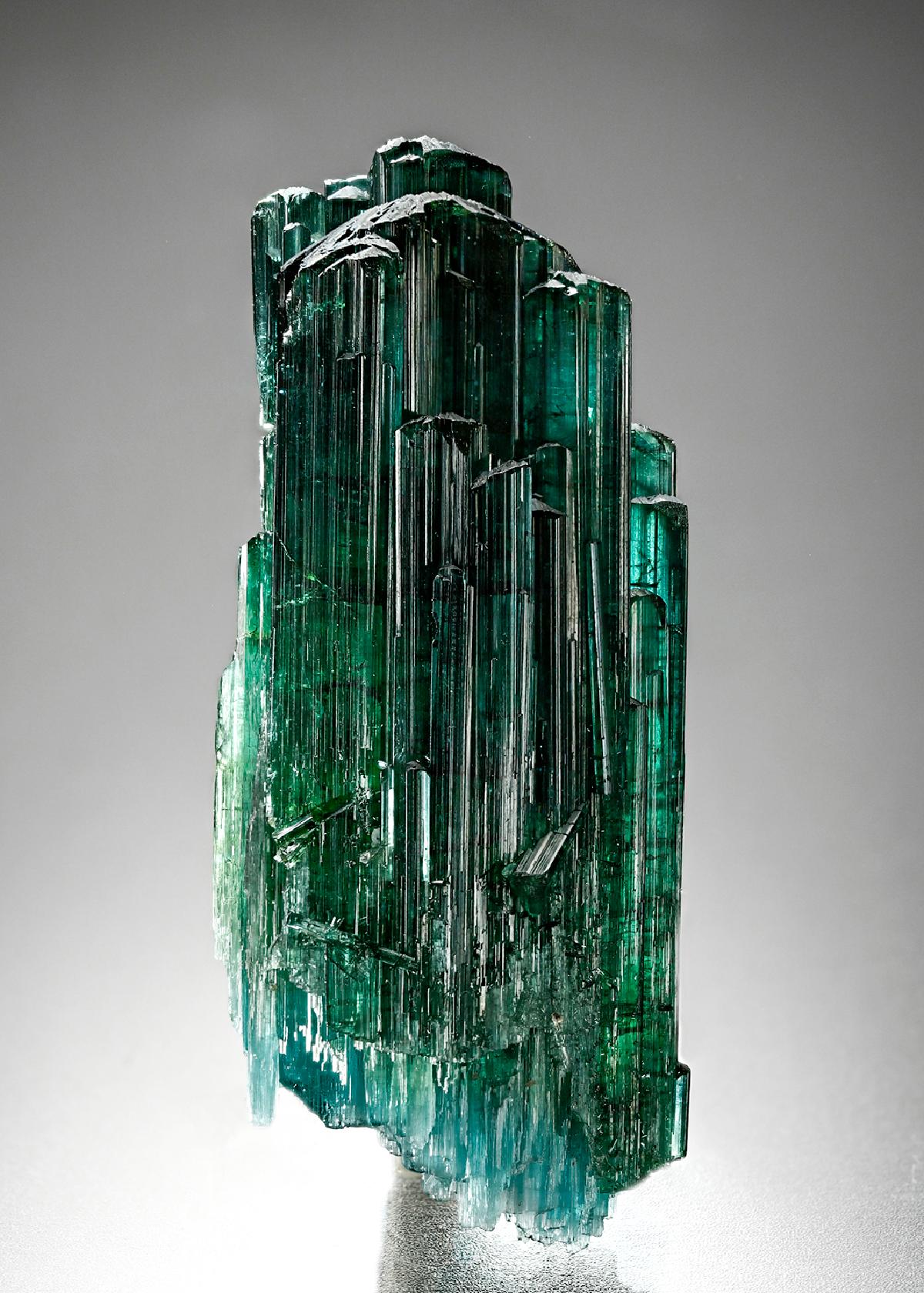 CC17649 specimen image