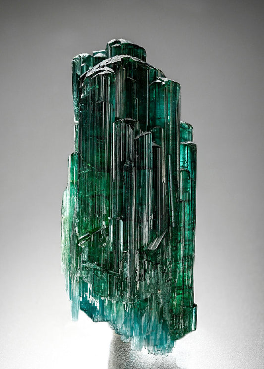 CC17649 specimen image