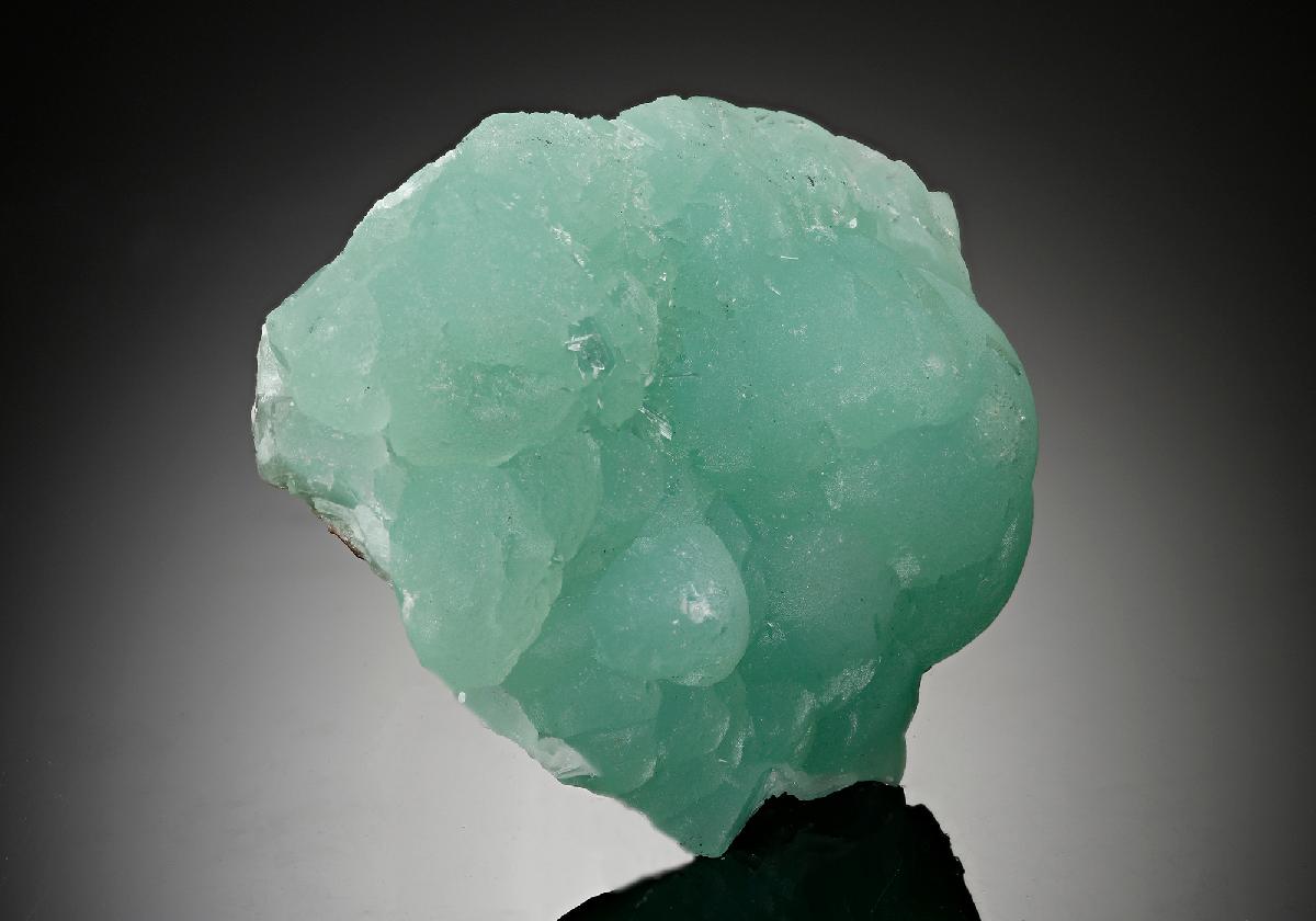 CC17650 specimen image