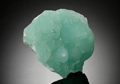 CC17650 specimen image