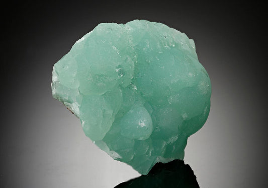 CC17650 specimen image