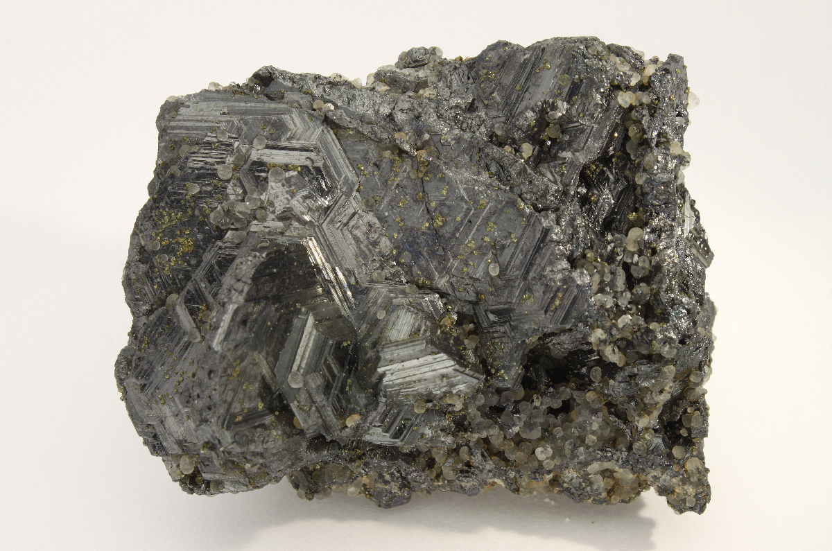 CC17656 specimen image