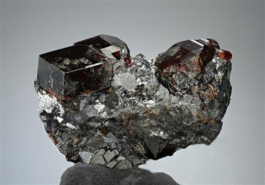 CC17658 specimen image
