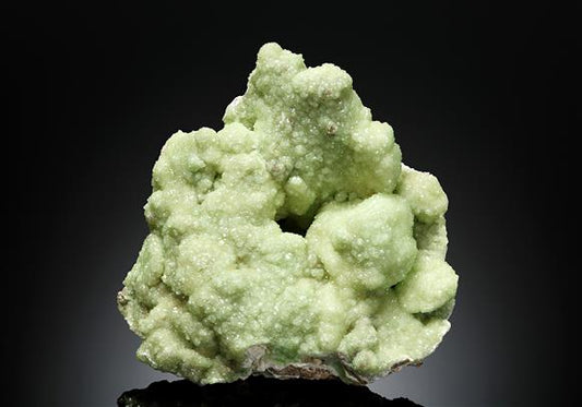 CC17663 specimen image