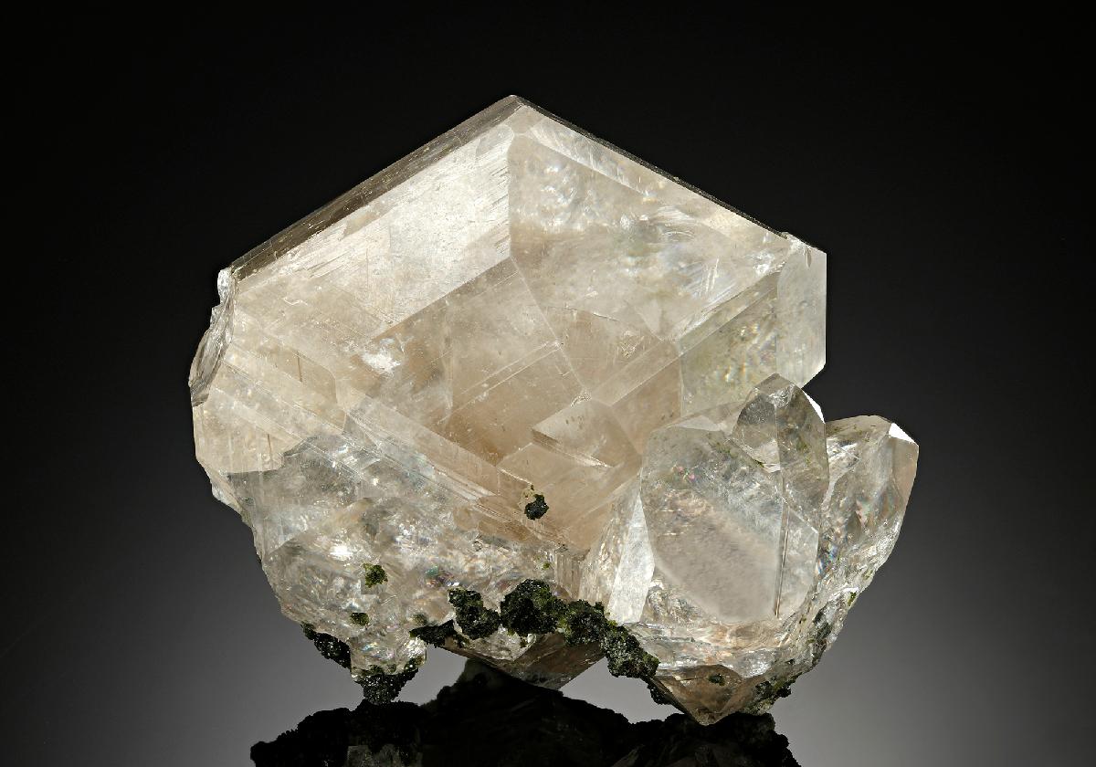 CC17687 specimen image