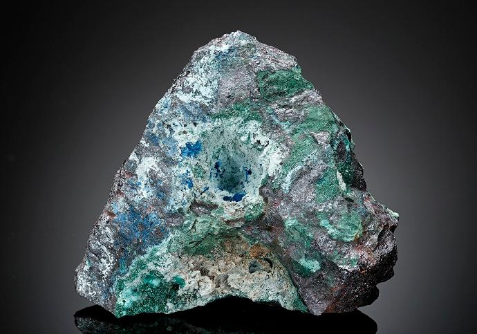 CC17691 specimen image
