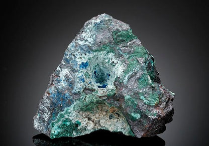 CC17691 specimen image