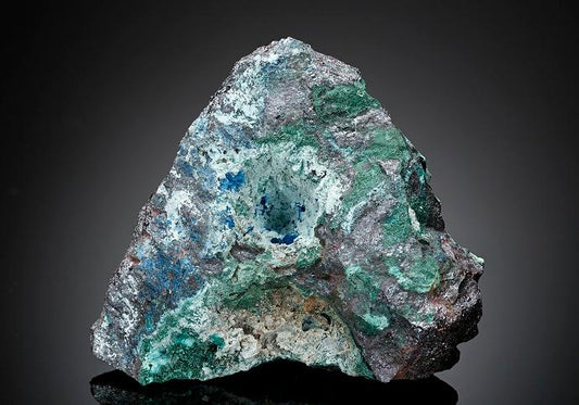 CC17691 specimen image