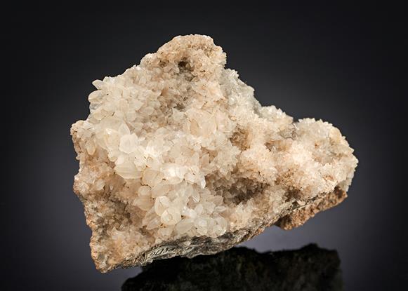 CC17697 specimen image