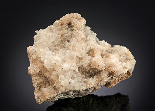 CC17697 specimen image