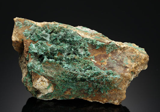 CC17726 specimen image