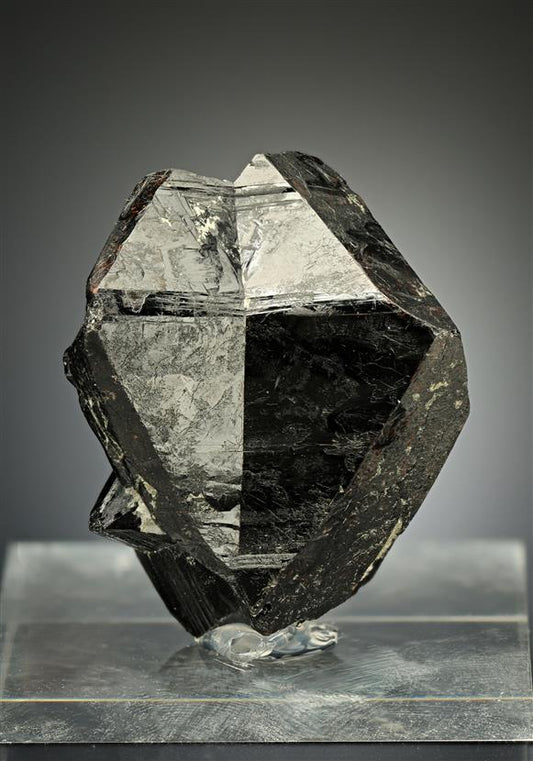 CC17738 specimen image
