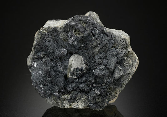 CC17771 specimen image