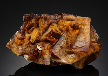 CC17801 specimen image