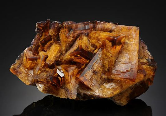 CC17801 specimen image