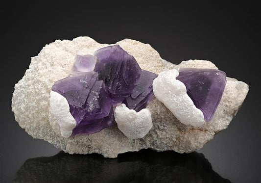 CC17817 specimen image