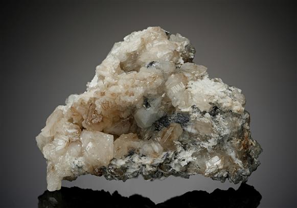 CC17856 specimen image