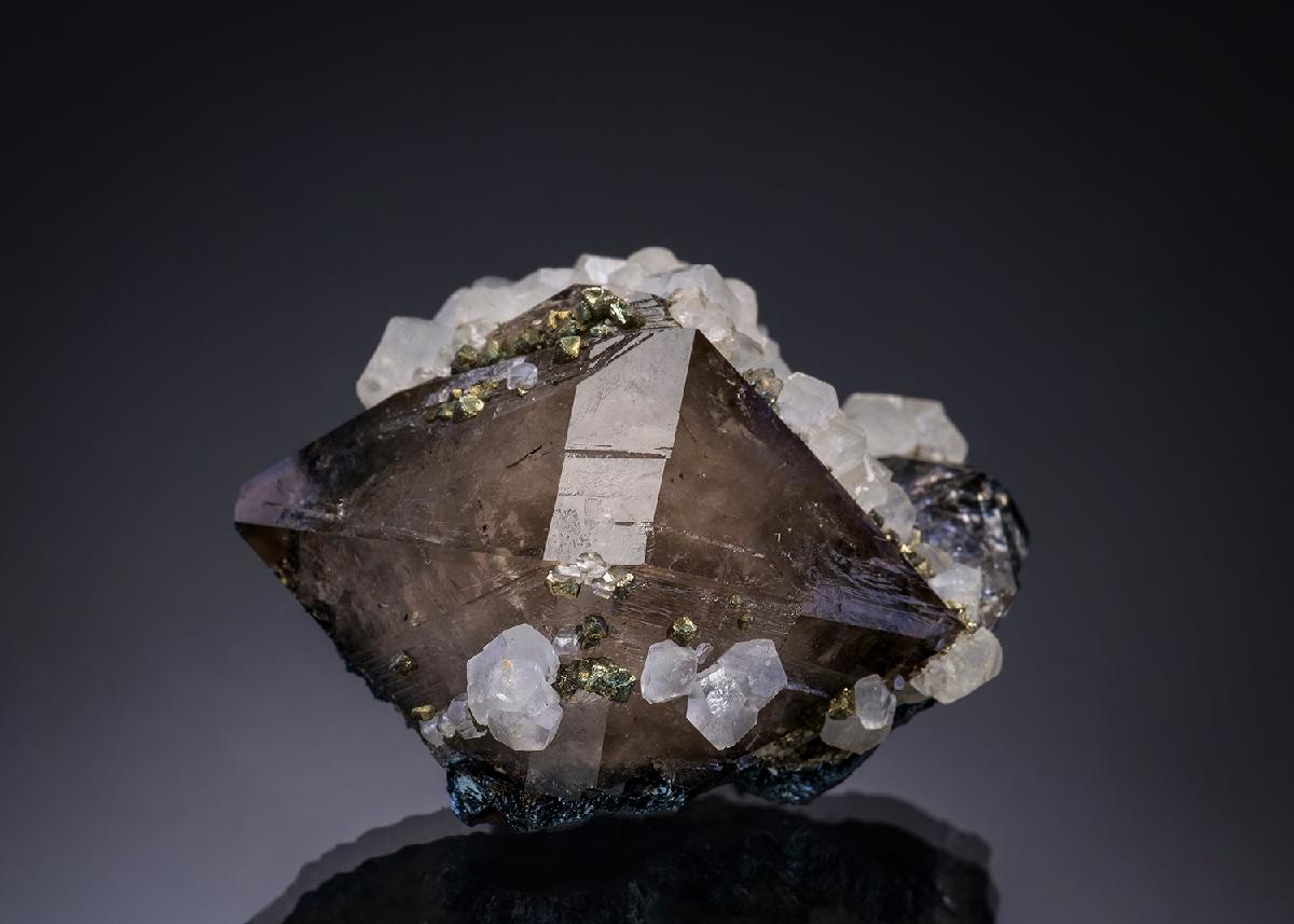 CC17861 specimen image