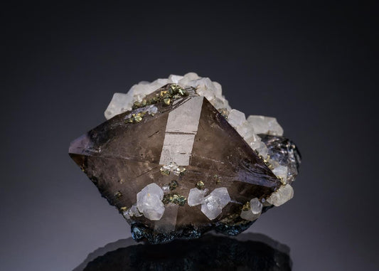 CC17861 specimen image