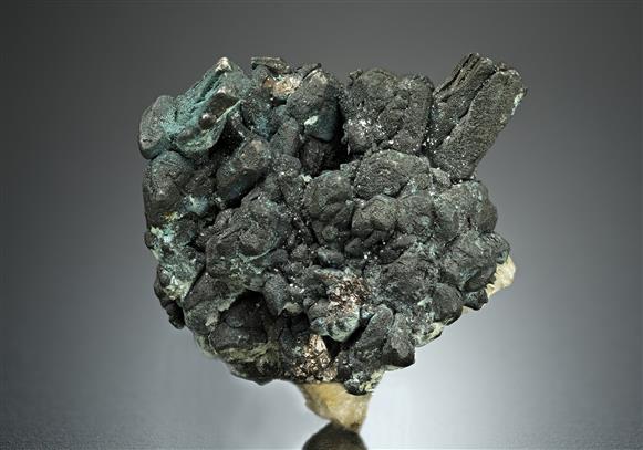 CC17871 specimen image