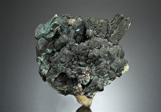 CC17871 specimen image