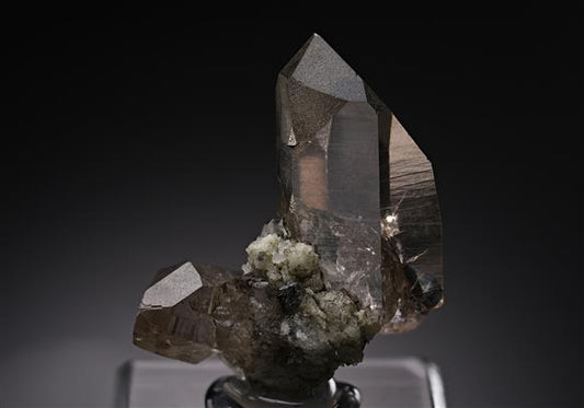 CC17893 specimen image
