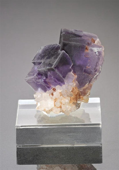 CC17936 specimen image