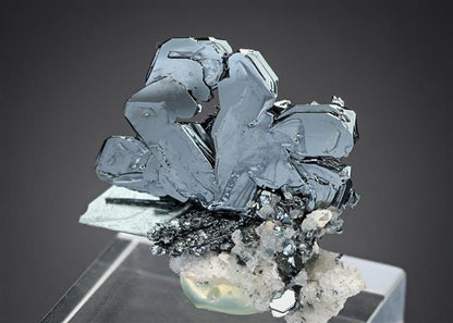 CC17945 specimen image