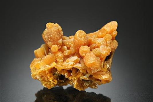 CC17978 specimen image