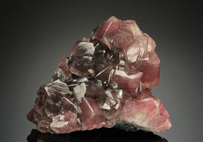 CC17986 specimen image