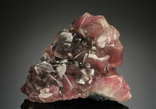 CC17986 specimen image