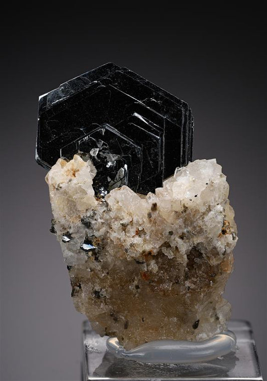 CC17990 specimen image