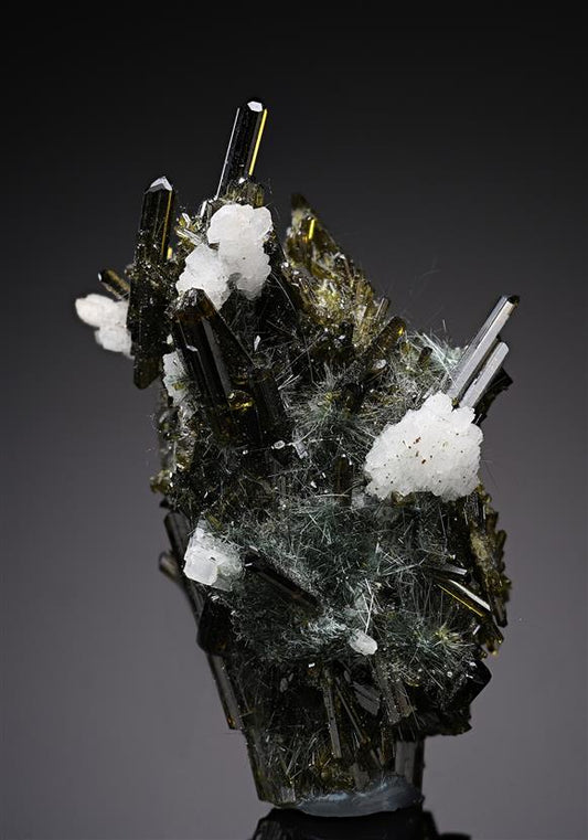 CC17999 specimen image