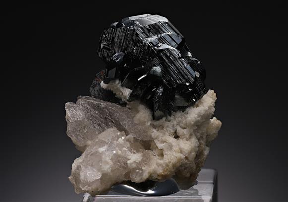 CC18019 specimen image
