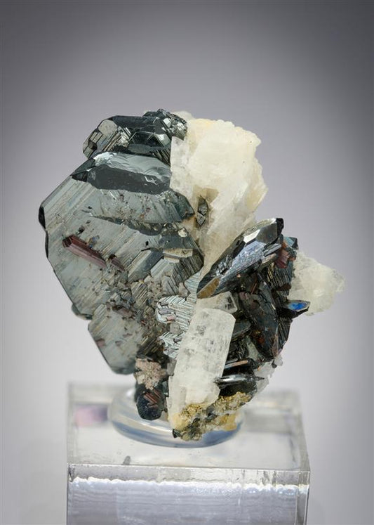 CC18020 specimen image