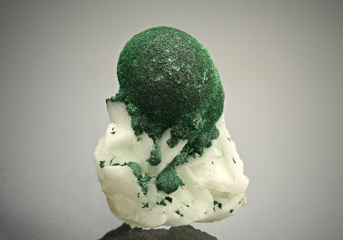 CC18031 specimen image
