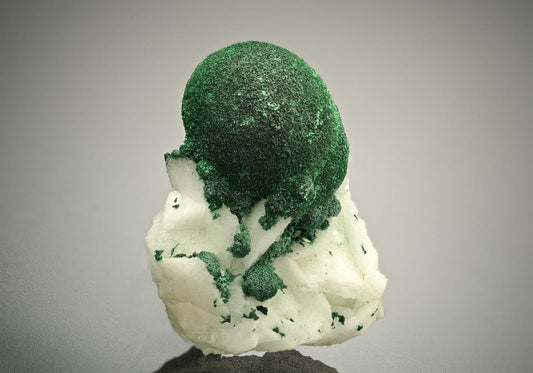 CC18031 specimen image