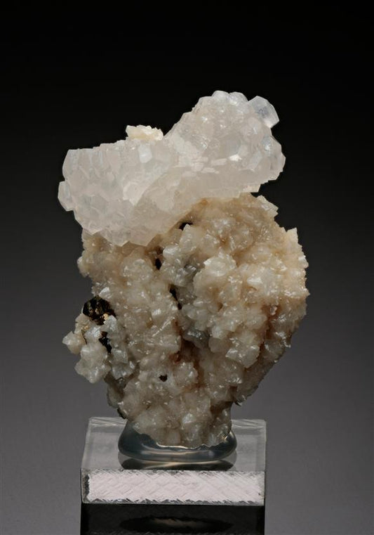 CC18034 specimen image
