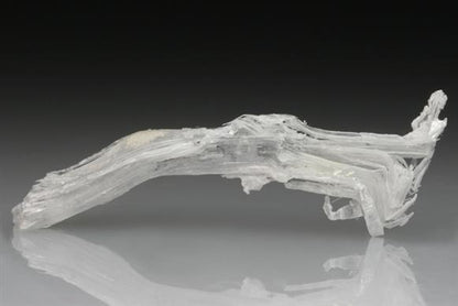 CC1812 specimen image
