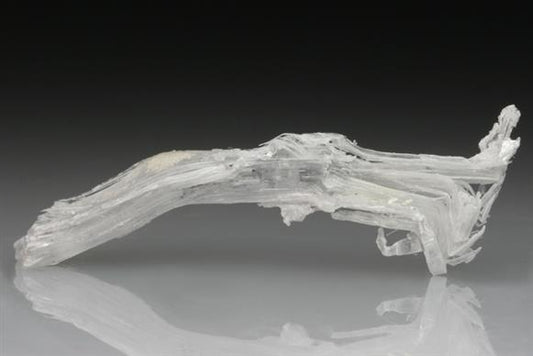 CC1812 specimen image