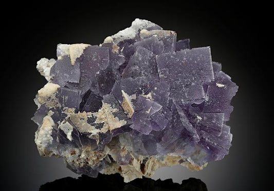 CC18137 specimen image