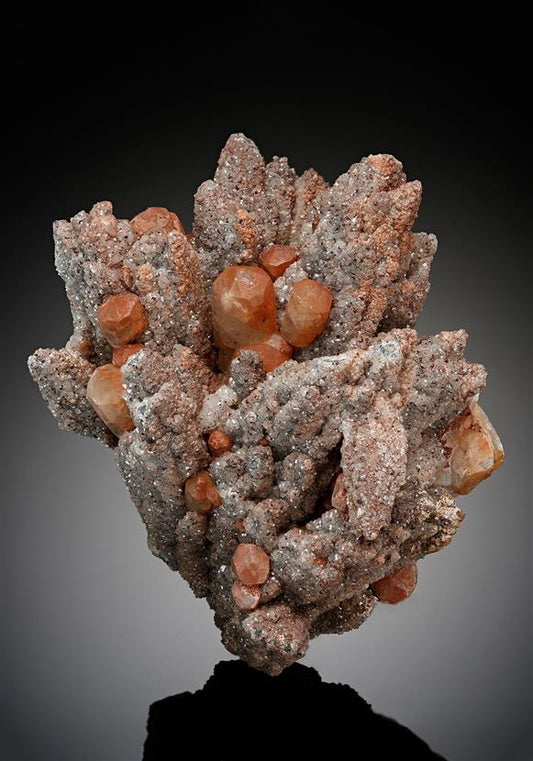 CC18145 specimen image