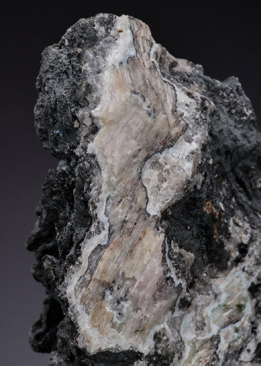CC18153 specimen image