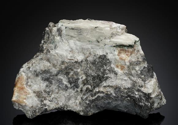 CC18154 specimen image