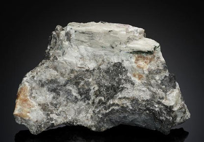 CC18154 specimen image