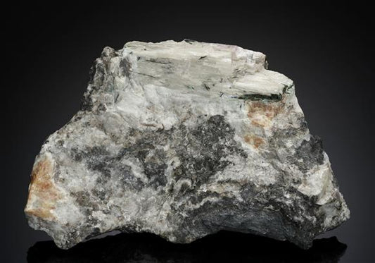 CC18154 specimen image
