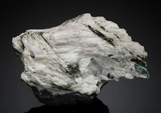 CC18156 specimen image